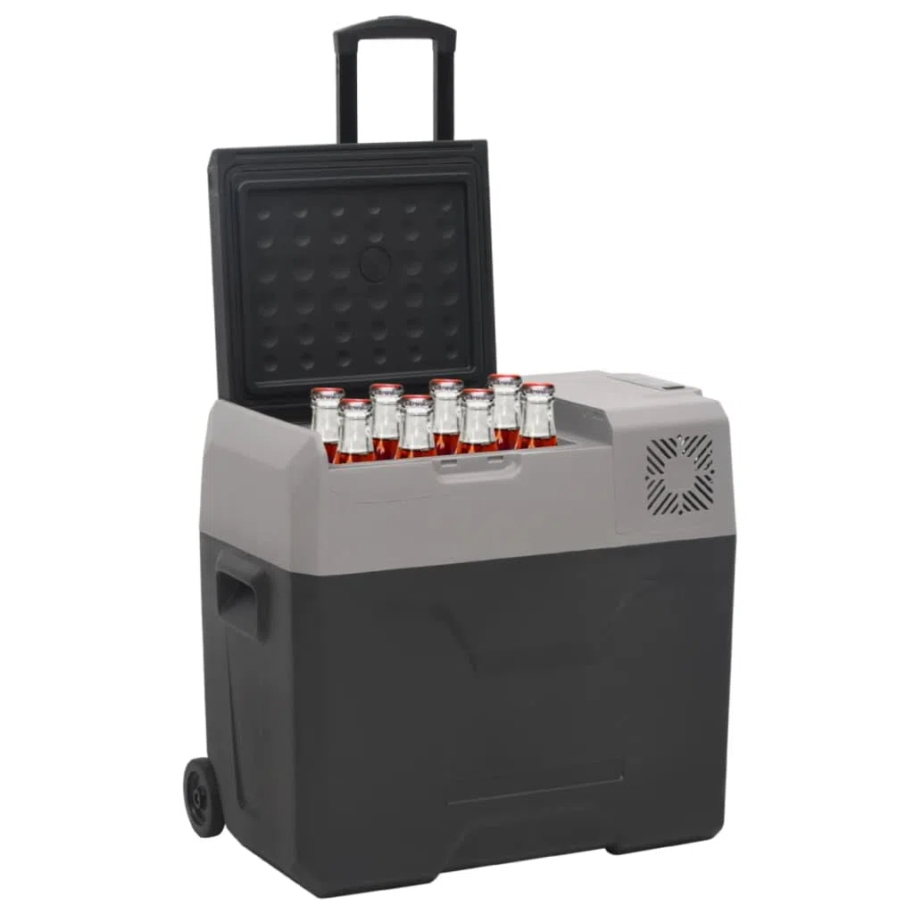 Kitchen & Dining - Nevera con rueda y asa, color negro y gris, 30 L, polipropileno para alimentos y bebidas