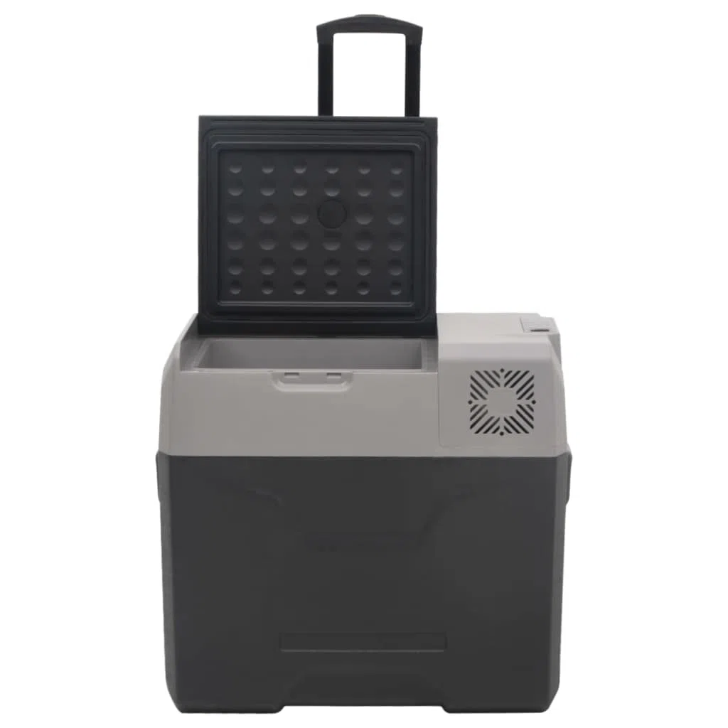 Kitchen & Dining - Nevera con rueda y asa, color negro y gris, 30 L, polipropileno para alimentos y bebidas