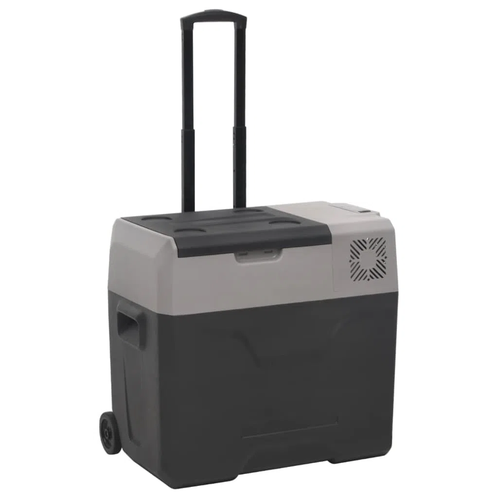 Kitchen & Dining - Nevera con rueda y asa, color negro y gris, 30 L, polipropileno para alimentos y bebidas