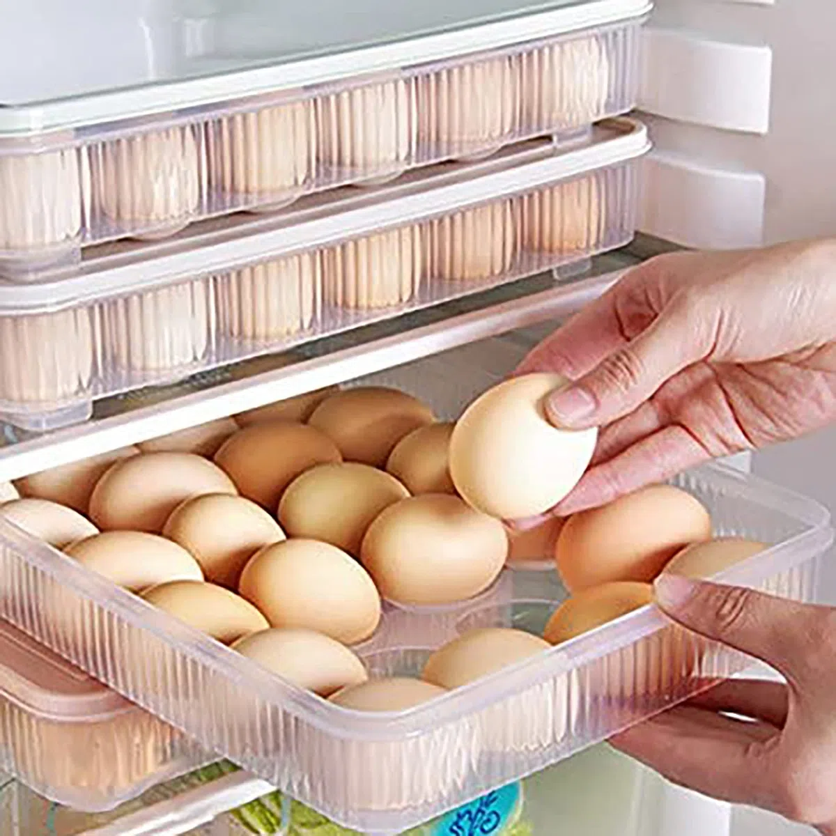 Caja de Almacenamiento de Huevos, 2 Piezas Hueveras de Plastico, Hueveras para Frigorifico 24 Huevos, Bandeja Huevos Nevera con Tapa, Huevera Nevera Apilable para Refrigerador, Cocina, Picnic Camping