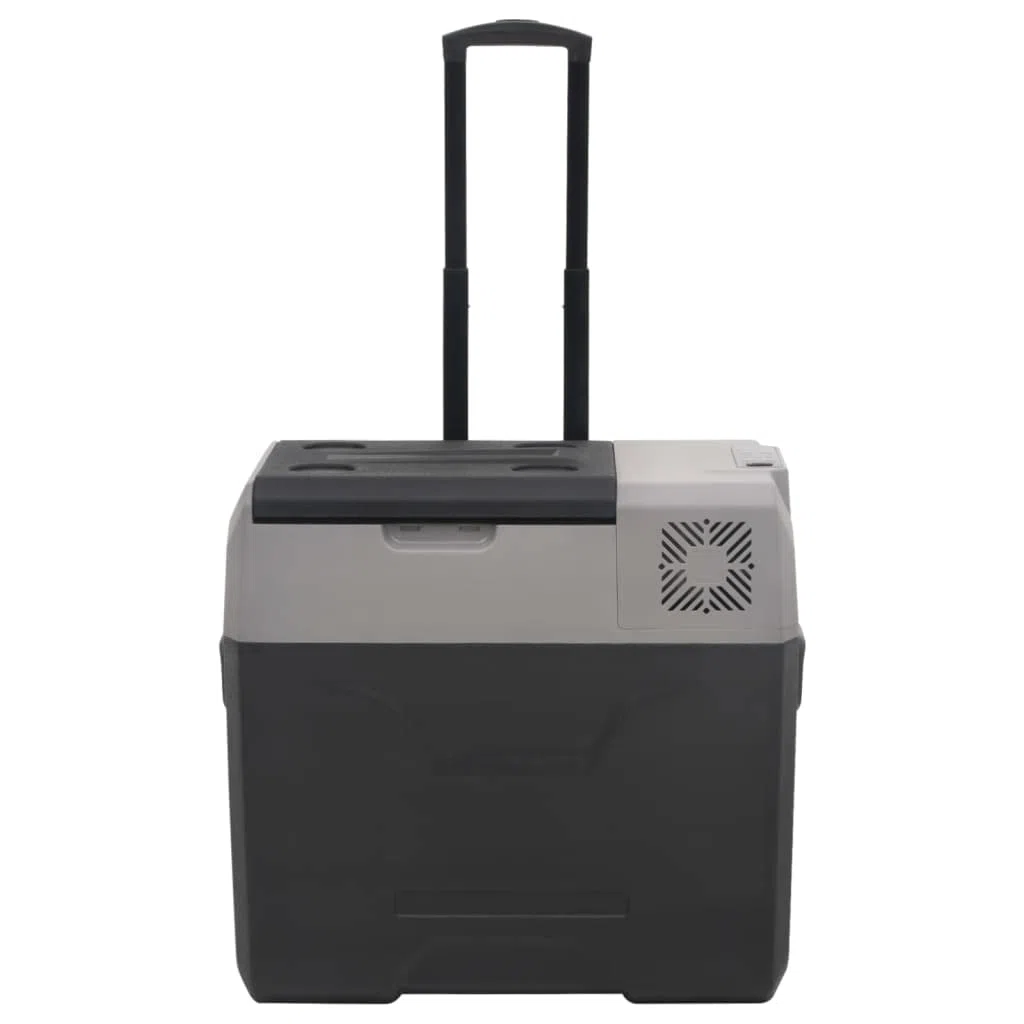 Kitchen & Dining - Nevera con rueda y asa, color negro y gris, 30 L, polipropileno para alimentos y bebidas