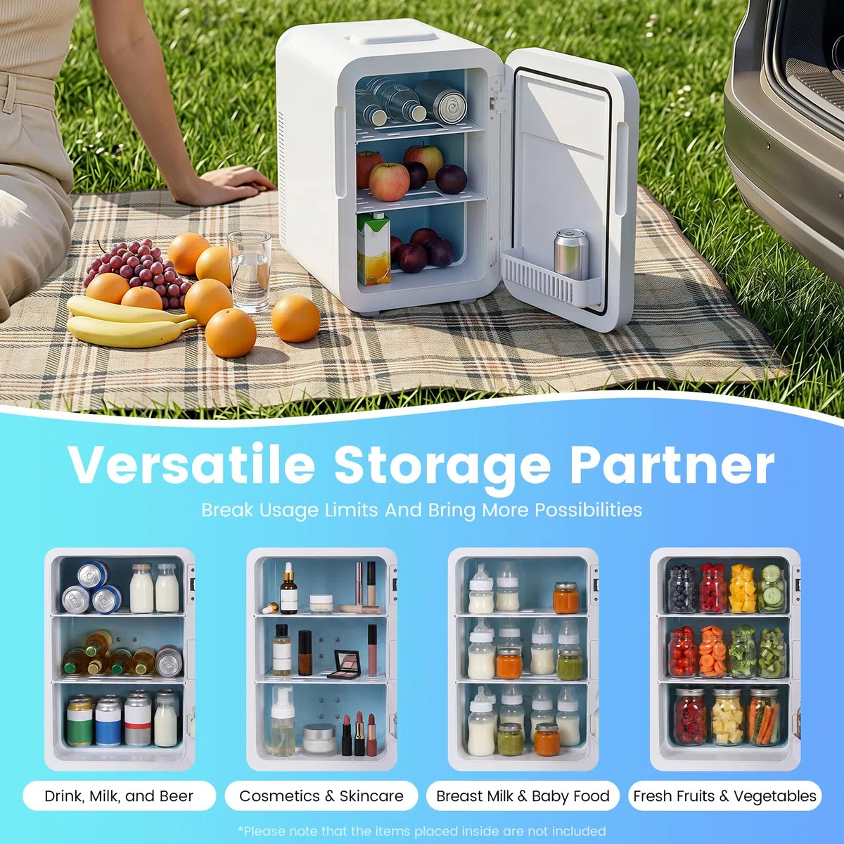 Frigorífico 2 en 1, 20 L, 220 V, frío y cálido