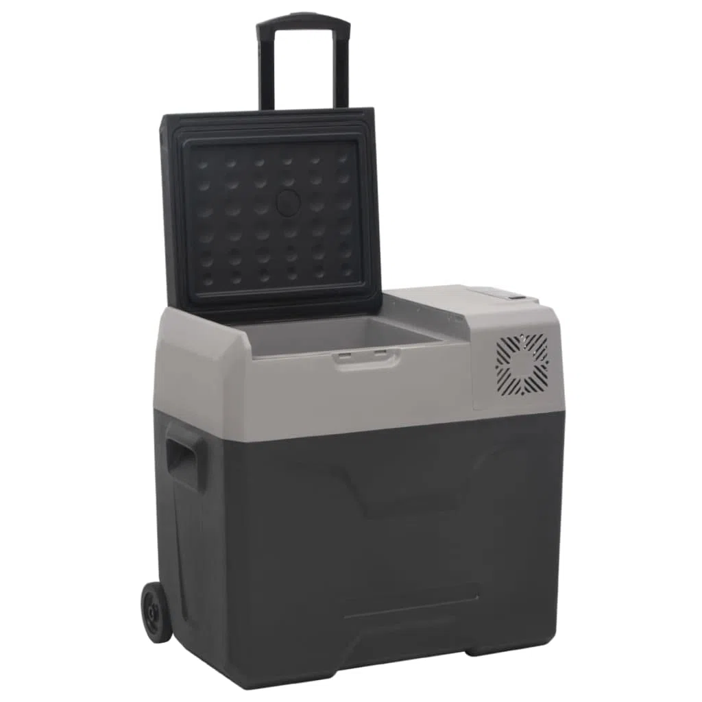 Kitchen & Dining - Nevera con rueda y asa, color negro y gris, 30 L, polipropileno para alimentos y bebidas