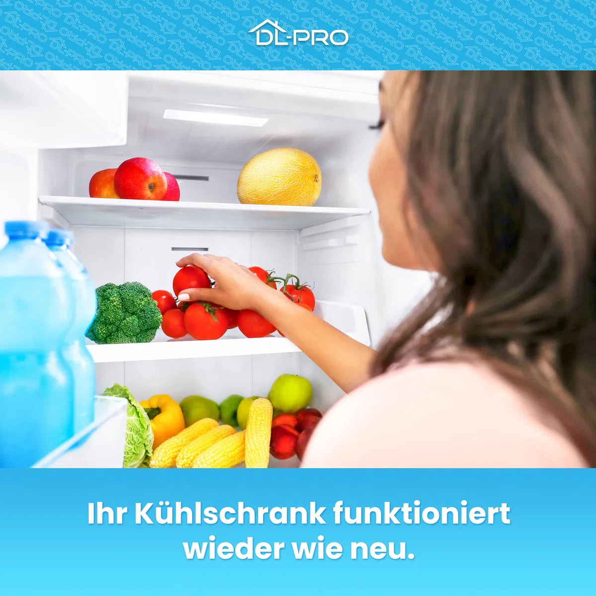 DL-pro Filtro de carbón activado Filtro redondo adecuado 45mm para Liebherr 9096342 para la combinación de refrigerador y congelador frigorífico