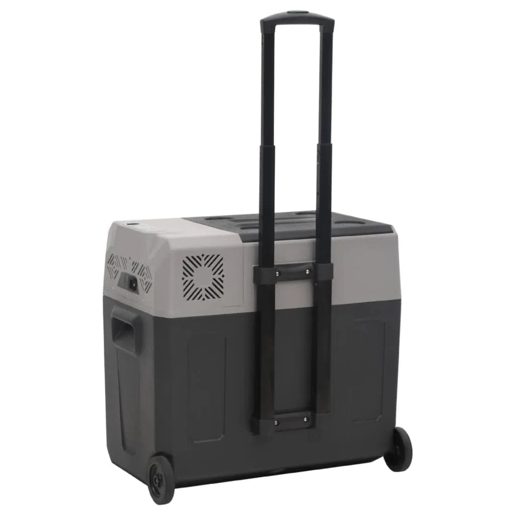 Kitchen & Dining - Nevera con rueda y asa, color negro y gris, 30 L, polipropileno para alimentos y bebidas